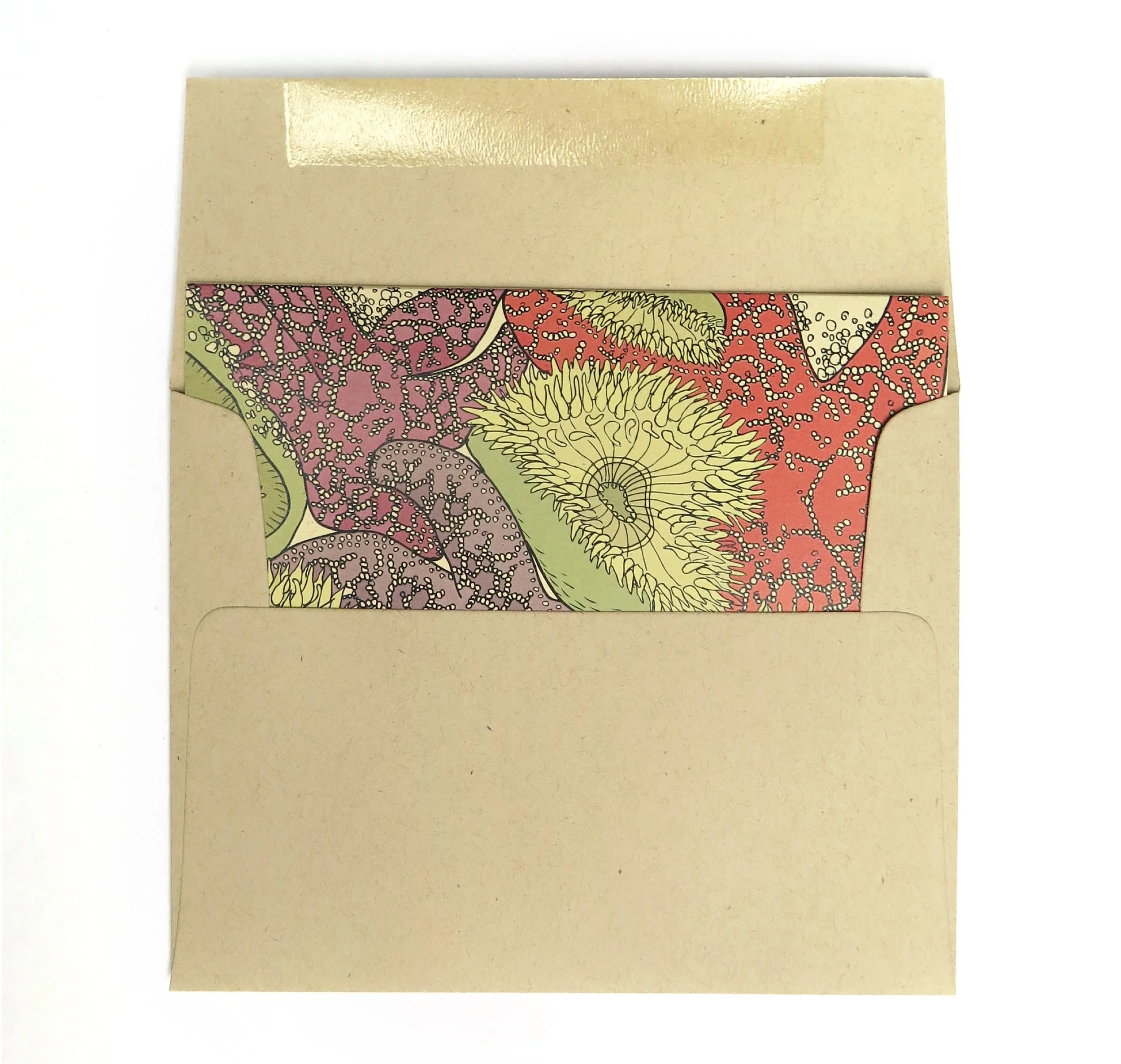 Star Fish Card — Wild Life